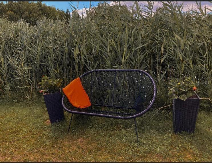 Krāslava Starp Debesim Un Zemiゲストハウス エクステリア 写真